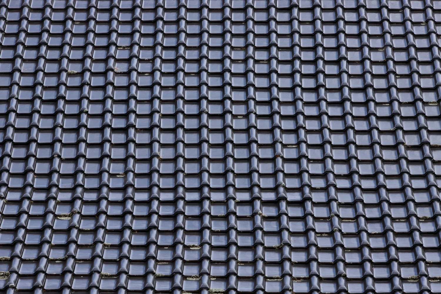 Explore the Variety of Roof Tile Options