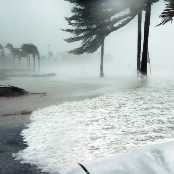 How to Prepare a Florida Home for a Hurricane