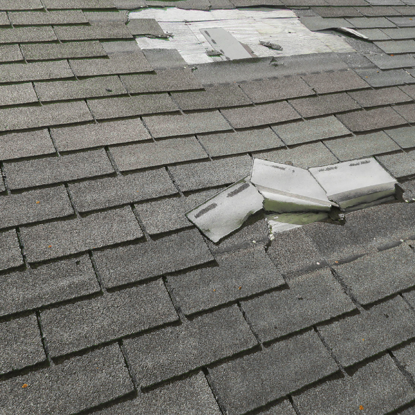 Warning Signs a Roof Needs Immediate Repair